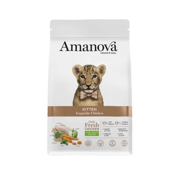 Amanova Gato Gatinho Galinha
