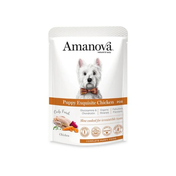 Amanova Cão Cachorro Patê Galinha Saqueta
