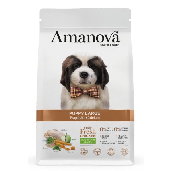 Amanova Cachorro Grande Galinha 12kg