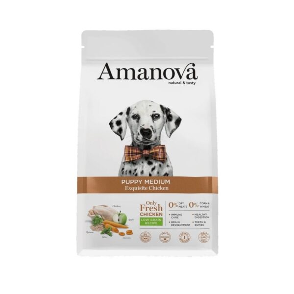 Amanova Cachorro Médio Galinha
