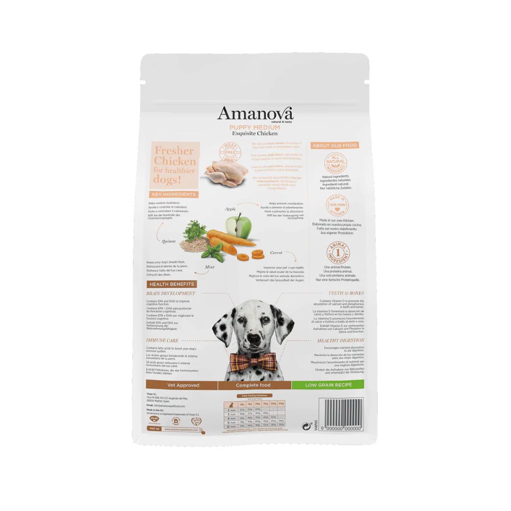 amanova-puppy-medium-galinha-2.jpg