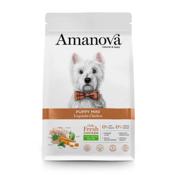 Amanova Cachorro Mini Galinha