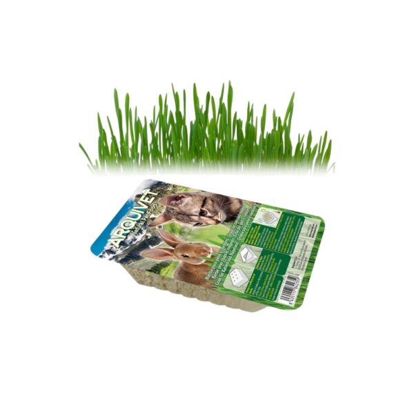 Arquivet Erva Natural para Gatos e Roedores 100g