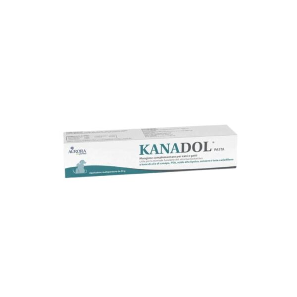 Kanadol Pasta 30g