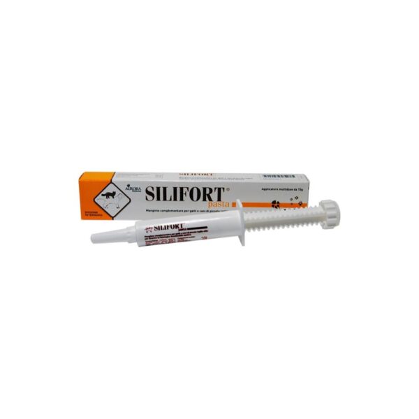 Silifort Pasta