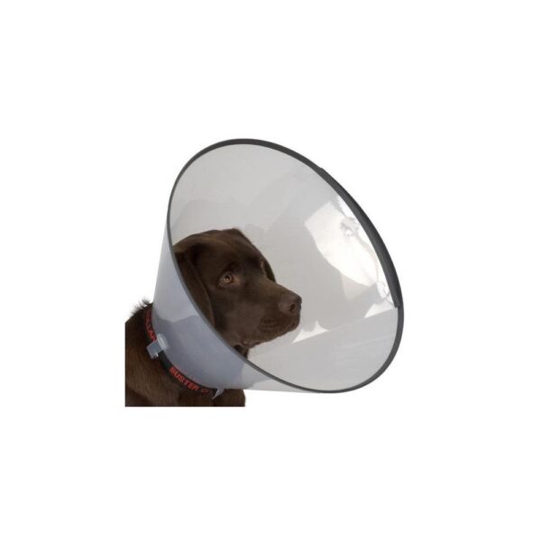 Colar Isabelino Buster Comfort