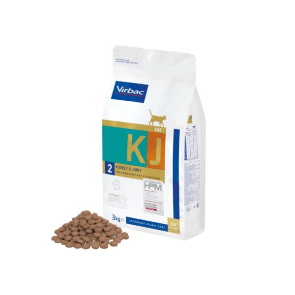 Virbac HPM Gato Kidney & Joint KJ2