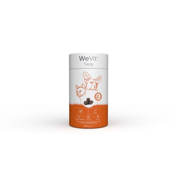 WeVit Tasty 30 Chews