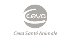 Ceva
