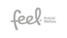 Feel