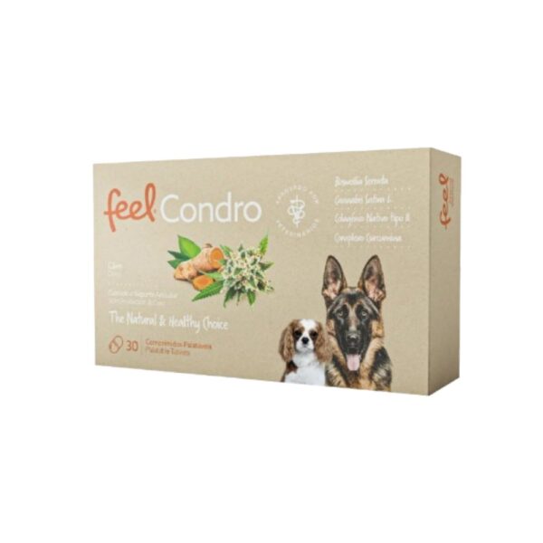 Feel Condro 30 comprimidos