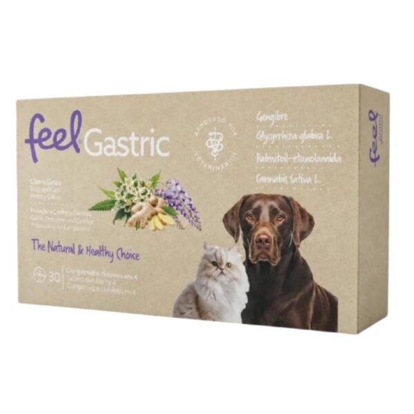 Feel gastric 30comprimidos