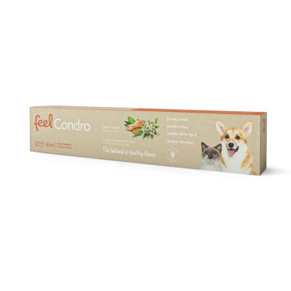 Feel Condro pasta oral 30ml